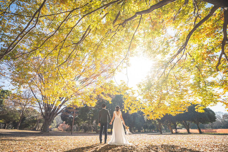 バリエーション