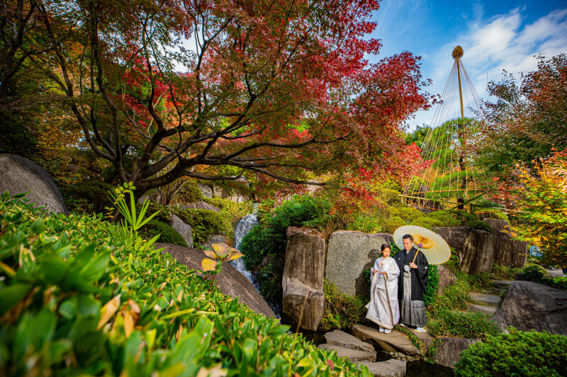 バリエーション