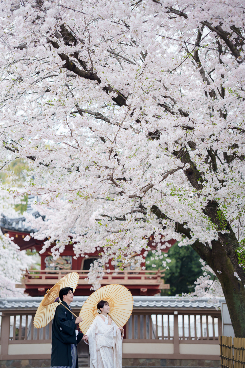 バリエーション8