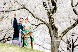 桜前撮りに行ってきました！