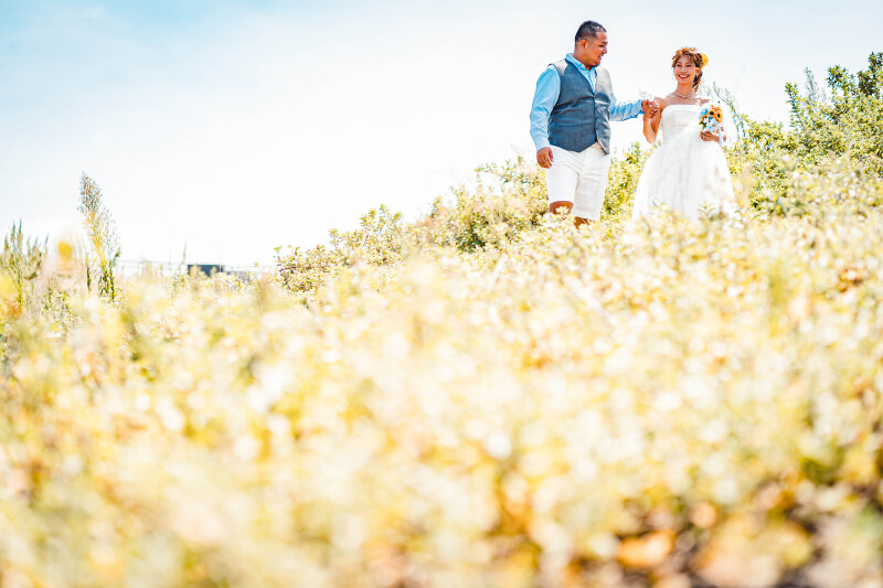 バリエーション