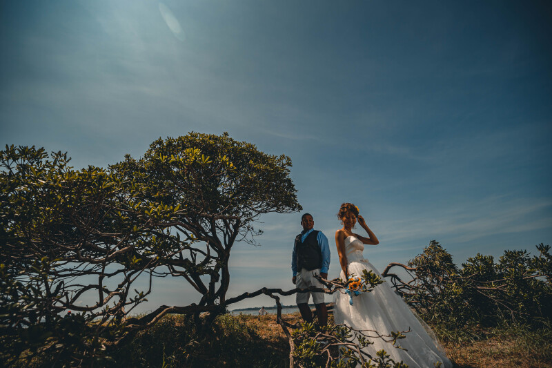 バリエーション