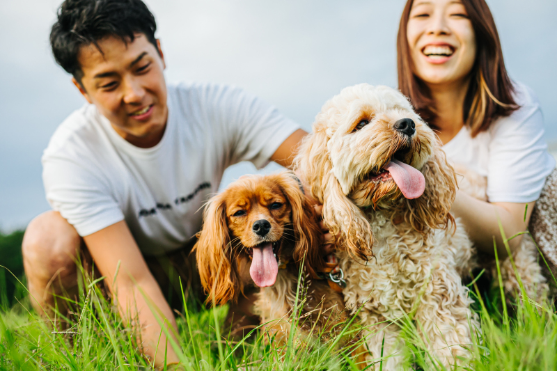 バリエーション2