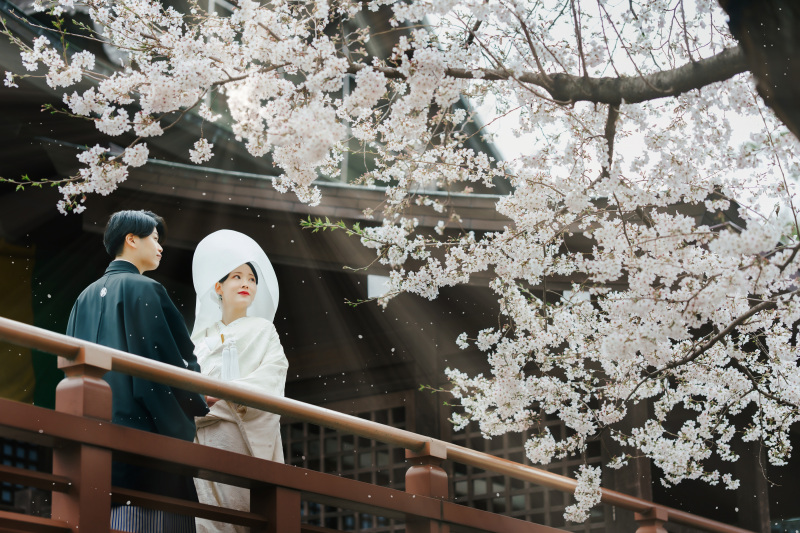 毎年素敵な写真が撮れる川越桜フォト
