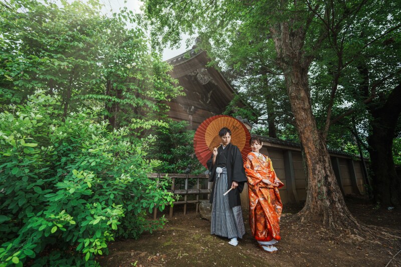 かっこいい引き絵のショット