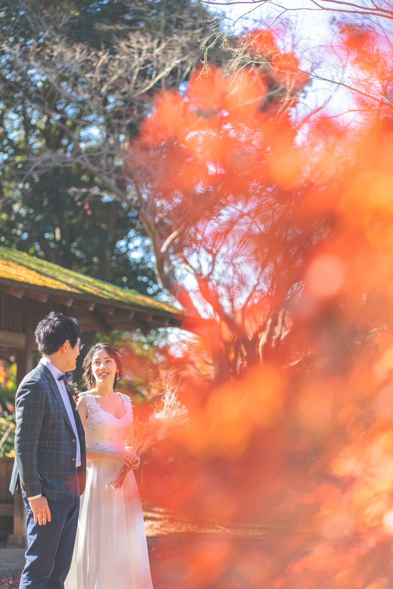 バリエーション