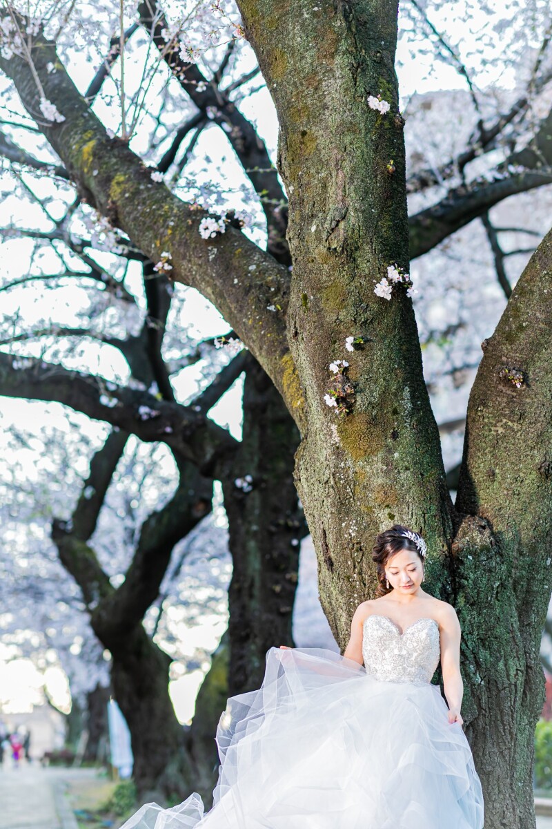 バリエーション