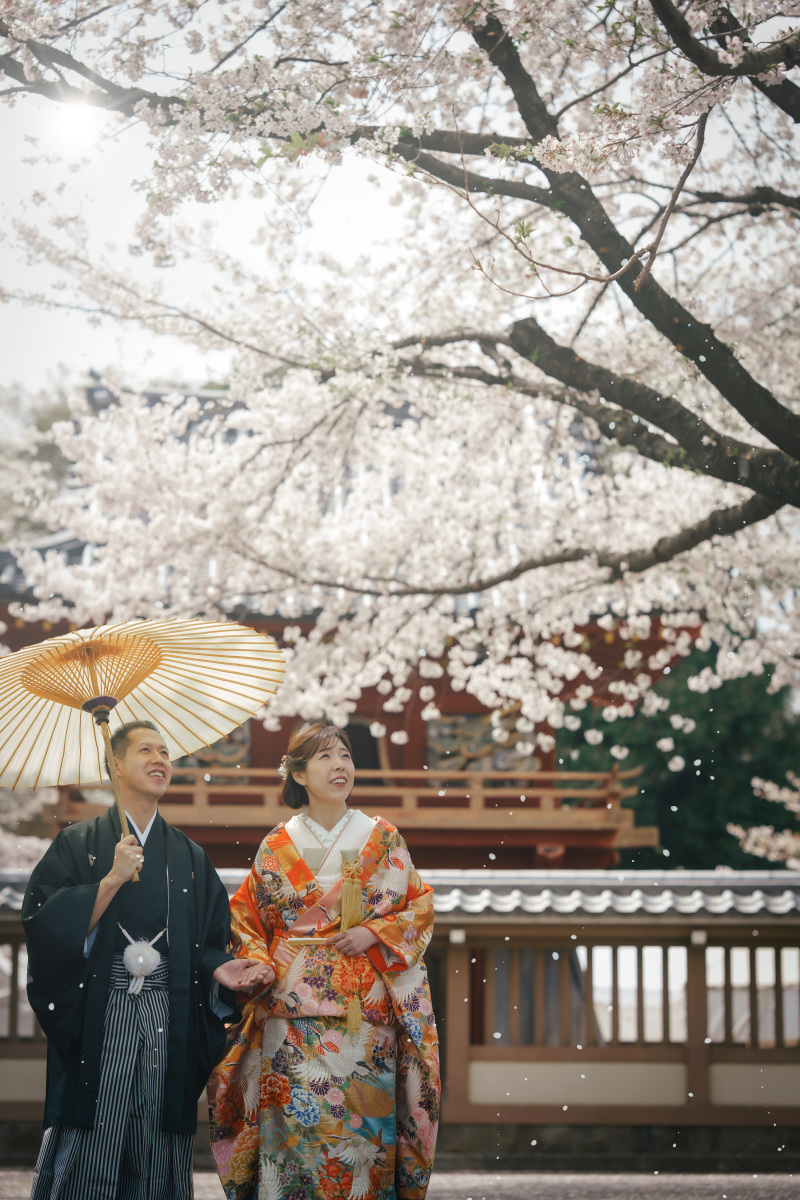 川越にて桜前撮り♪前日にロケハンでベストポジション撮影