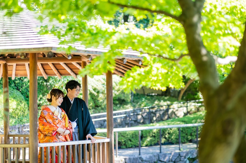 目白庭園には可愛い鴨が泳いでいます^^