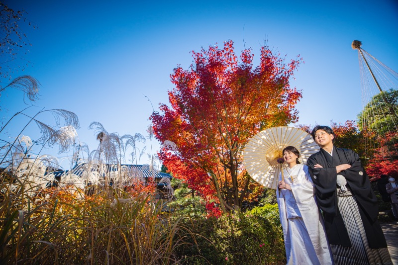 バリエーション