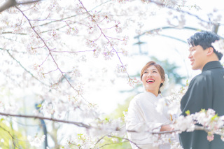 都内・満開の桜ロケレポート♪