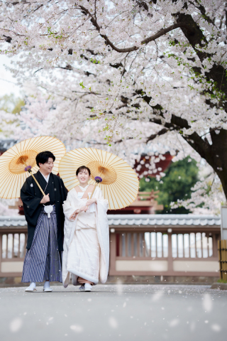 【川越の和庭園で撮影する桜前撮り・色掛下あり】