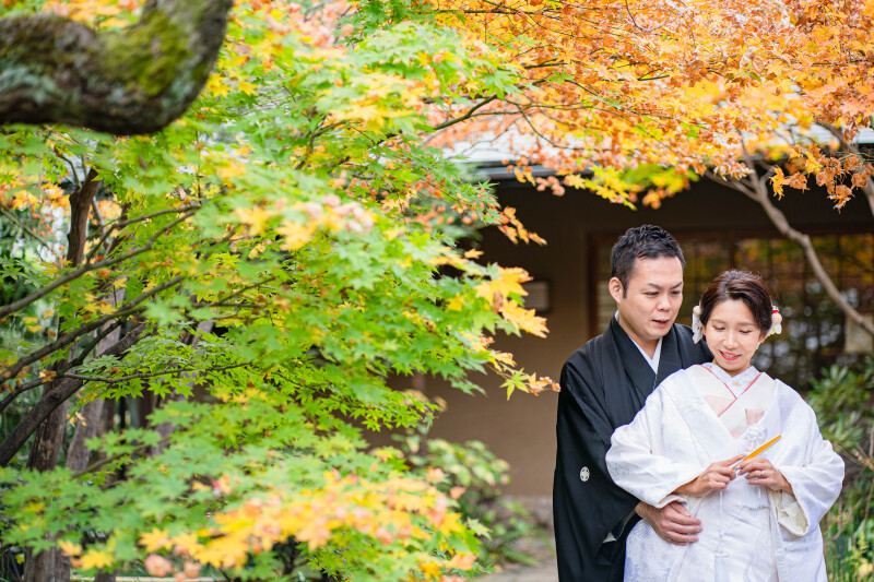 バリエーション