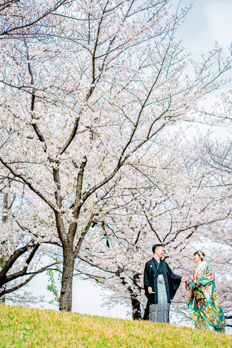 桜の中を歩こう♪