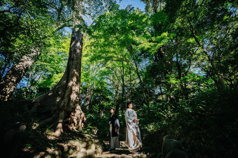 バリエーション