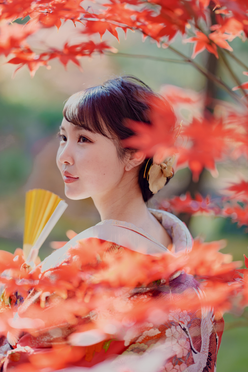 赤い紅葉と赤い色打掛