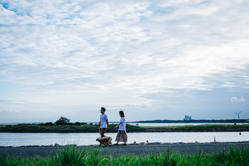 バリエーション4