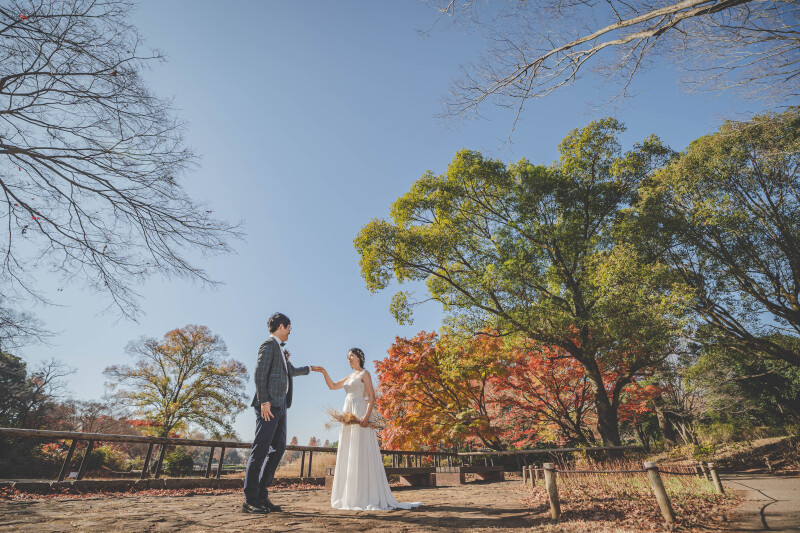 バリエーション