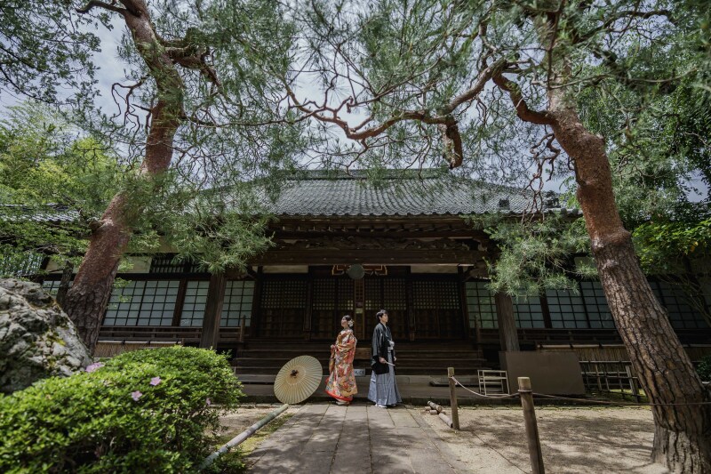 ワイドでドン♪