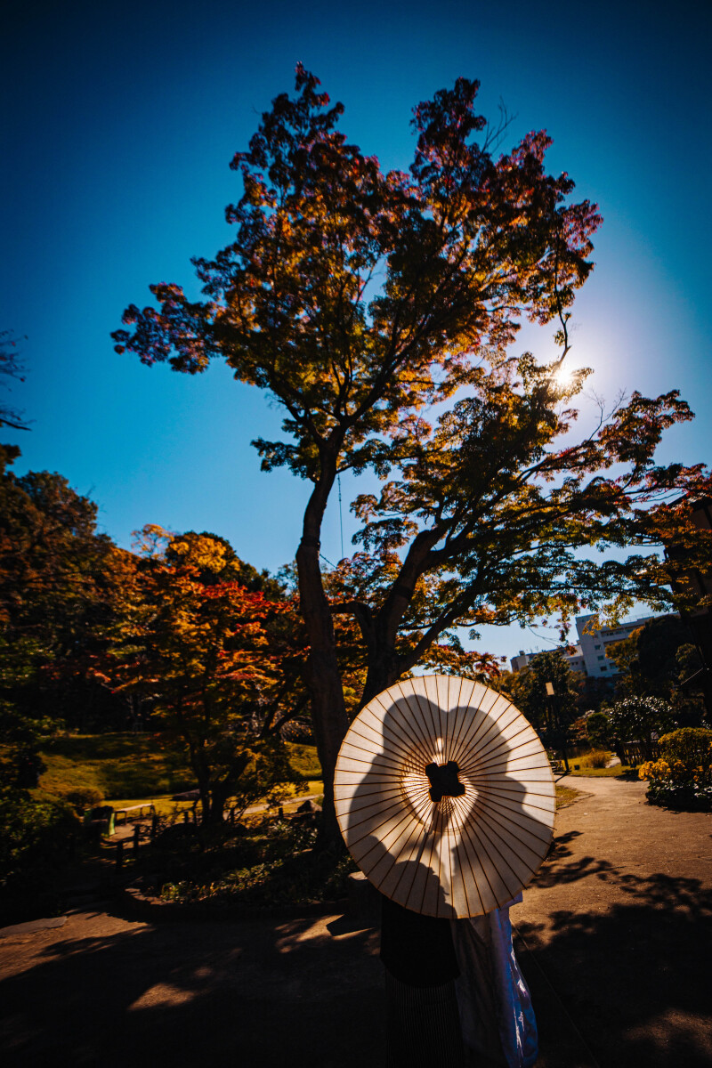 バリエーション