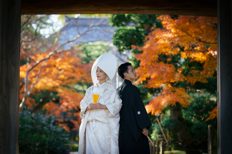 バリエーション８