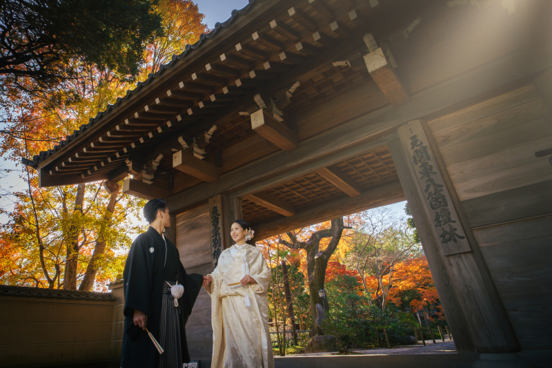 バリエーション５