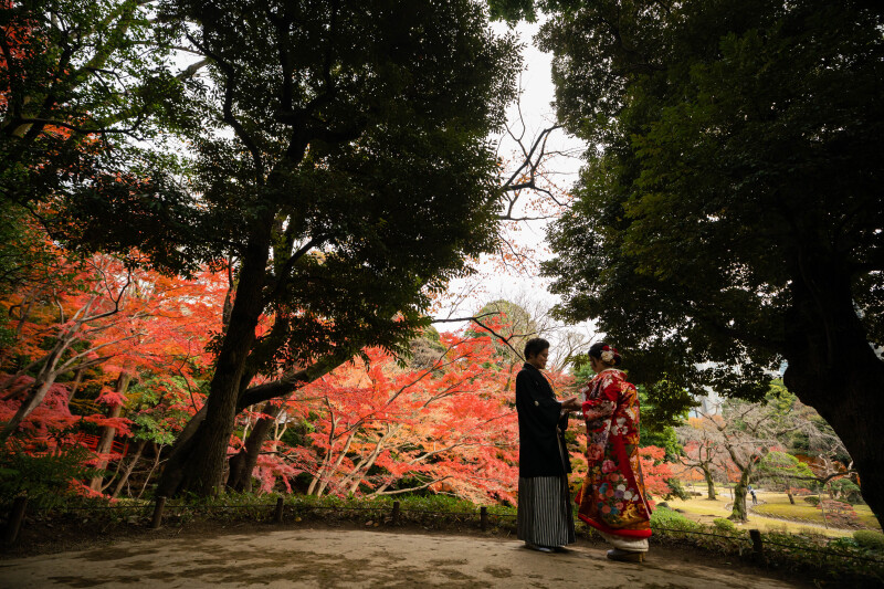 バリエーション