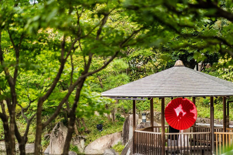 バリエーション