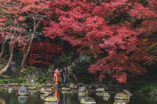 【和装紅葉前撮り】受付スタート♪都内で撮れる紅葉前撮りご紹介^^