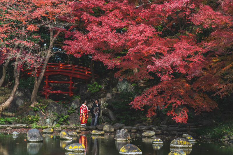 【和装紅葉前撮り】受付スタート♪都内で撮れる紅葉前撮りご紹介^^