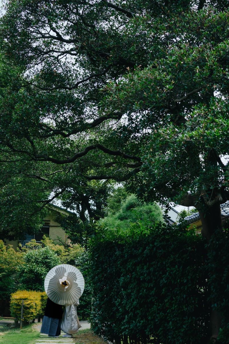 バリエーション4