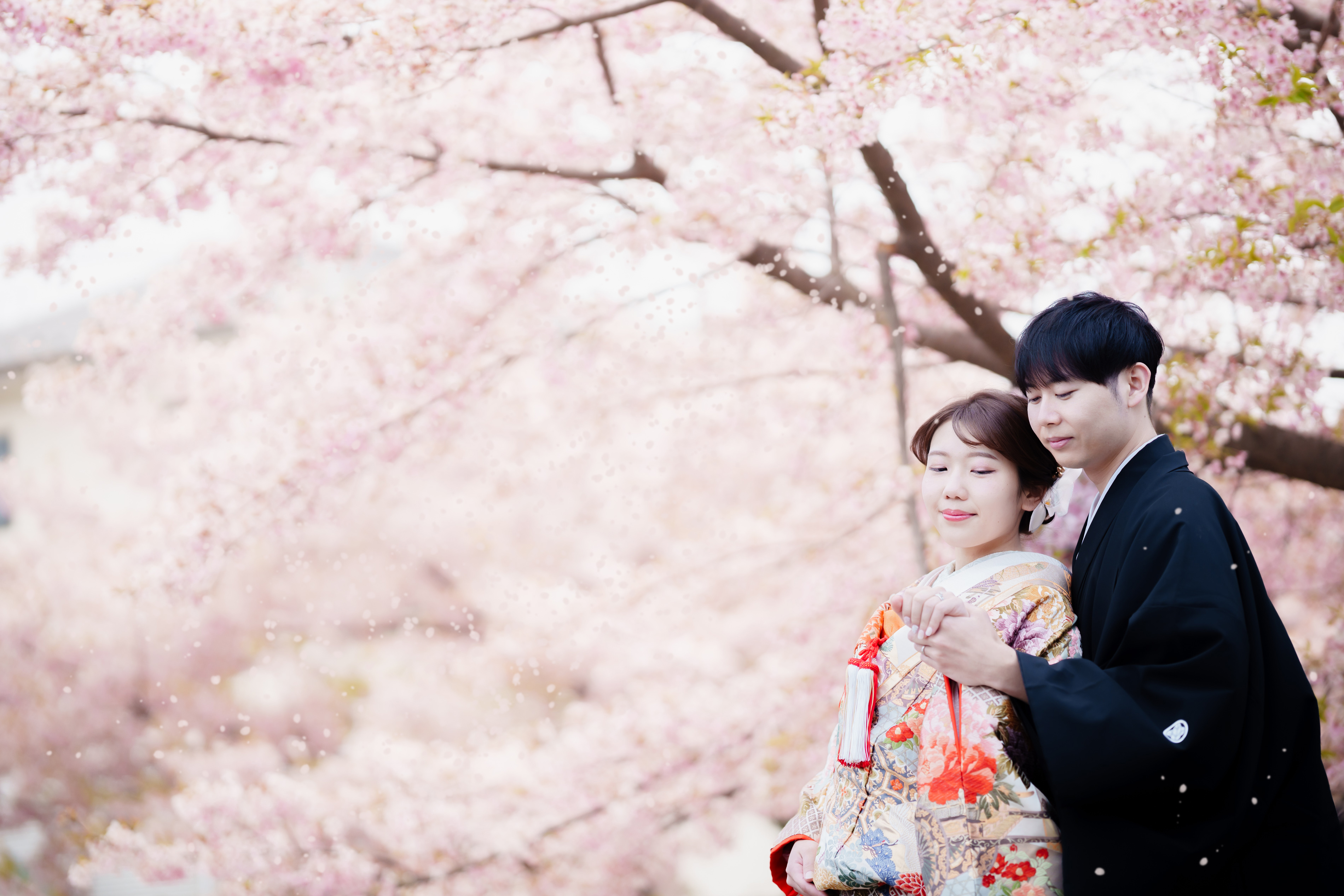 Point1 多彩な撮影シーン