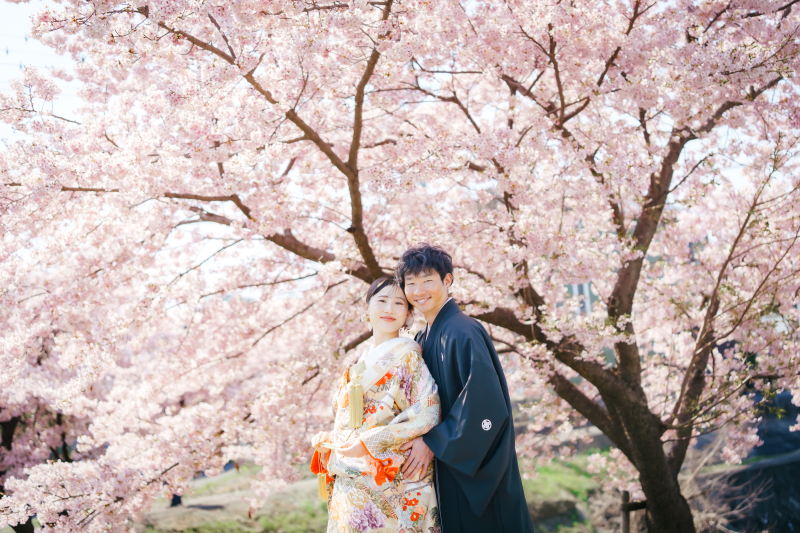 【桜プラン受付開始】<川越和装>白無垢&色掛下/重ね襟・刺繍半襟(1着)【和庭園】<100カット以上>14着の衣装♪