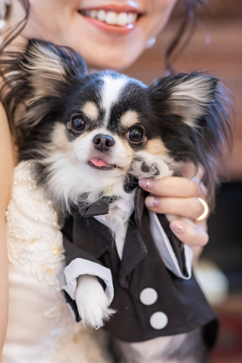 ソロショットも?