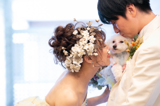 ザ・ジョージアンテラス