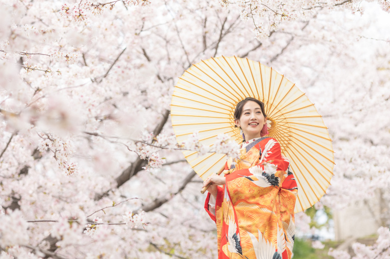 ✿季節あふれる桜と和装のショット✿
