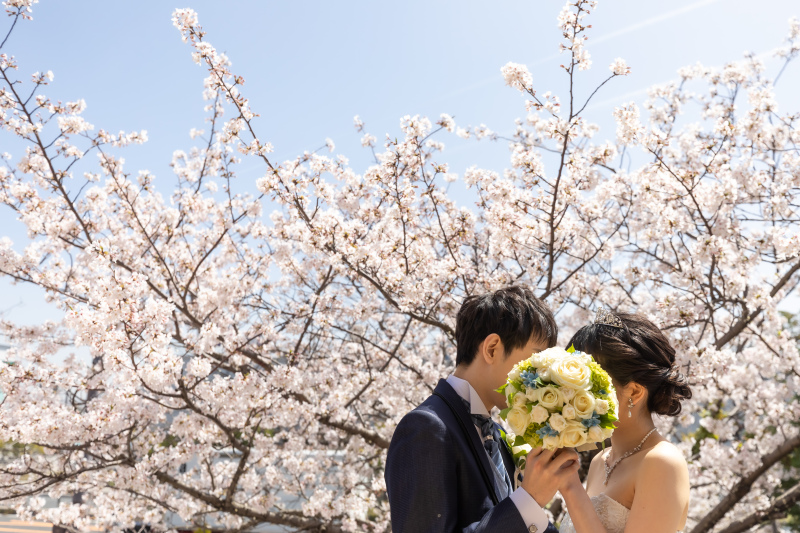 桜と撮りたいおふたり必見!人気の桜ロケーションも