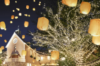 withランタン撮影