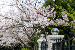 シーズンUP料金