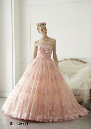 BN-15(SPI)
