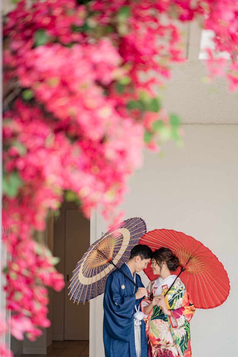 ブーゲンビリア