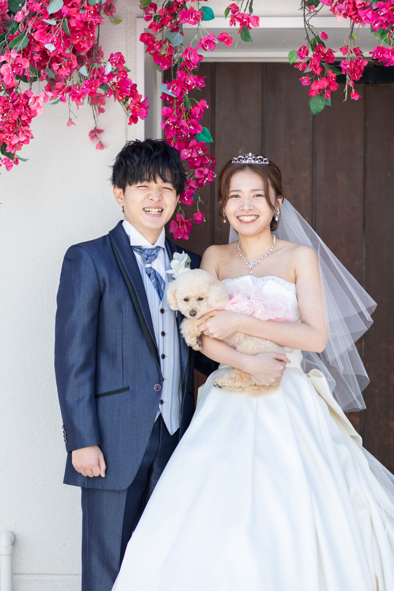 わんちゃんとリゾート風に・・