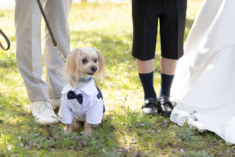 リヴァージュブラン_ペットと一緒に撮影できる