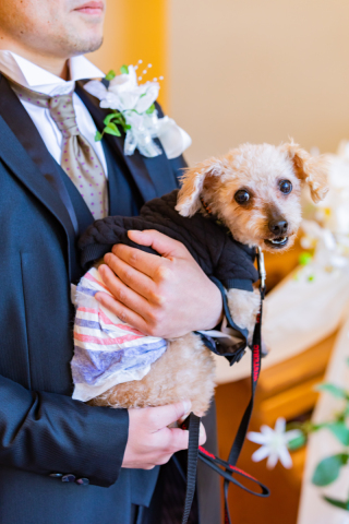 リヴァージュブラン_ペットも一緒