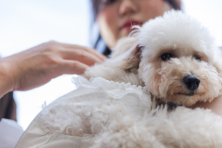 リヴァージュブラン_ペットも一緒