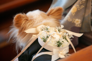 リヴァージュブラン_ペットも一緒