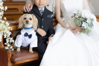 リヴァージュブラン_ペットも一緒