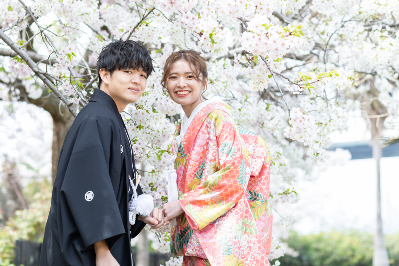 【✿桜ロケーションフォト✿】先着5組限定！スペシャルPRICE99,000円◇和装1着