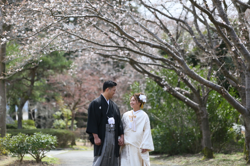 穏やかな始まり