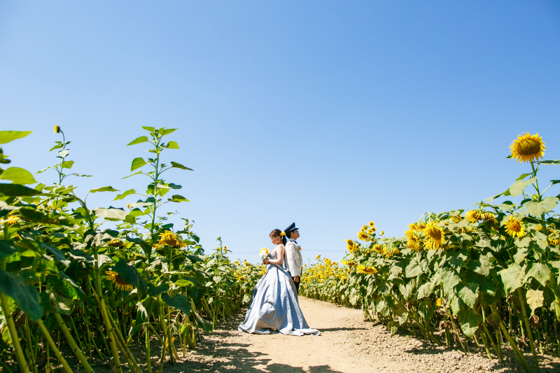 時にはキリッと